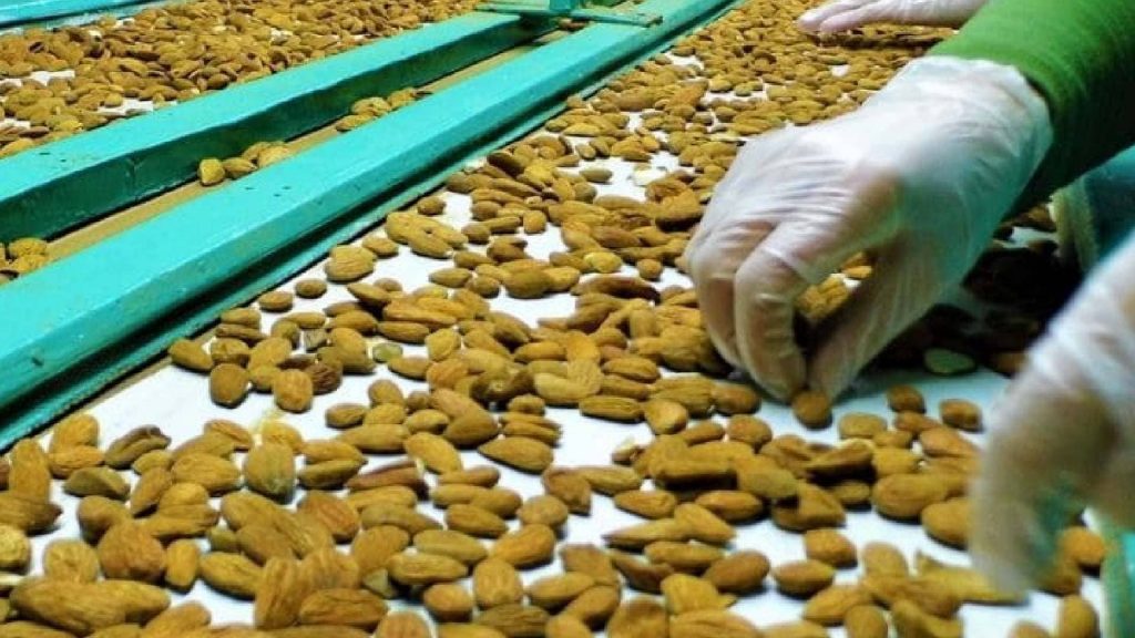 tri manuel des amandes