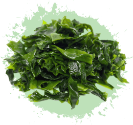 Aliments en Vrac 1 Grossiste algues en vrac - GreenVrac