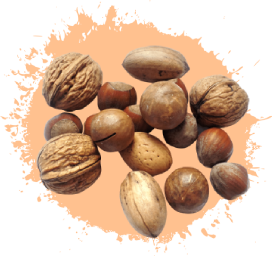 Aliments en Vrac 9 Grossiste fruits coques en vrac - GreenVrac