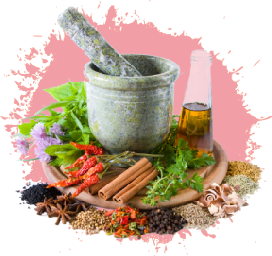 Aliments en Vrac 11 Grossiste herbes plantes médicinales en vrac - GreenVrac