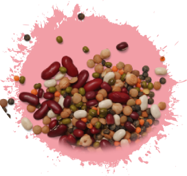 Aliments en Vrac 13 Grossiste légumineuses en vrac - GreenVrac
