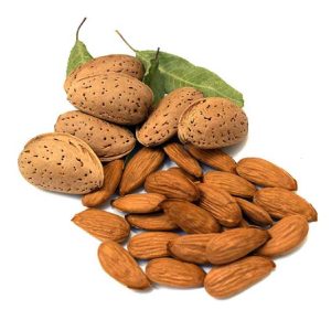 Grossiste d'amandes croquante en vrac - Fournisseur Spécialiste d'Amandes de Qualité Supérieure