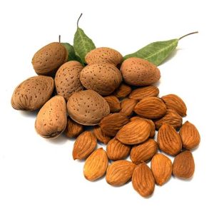 Grossiste d'amandes extra pas cher en vrac - Fournisseur Spécialiste d'Amandes de Qualité Supérieure