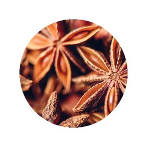 Anis Étoilé Badiane en vrac - Grossiste Herboristerie Plantes Médicinales
