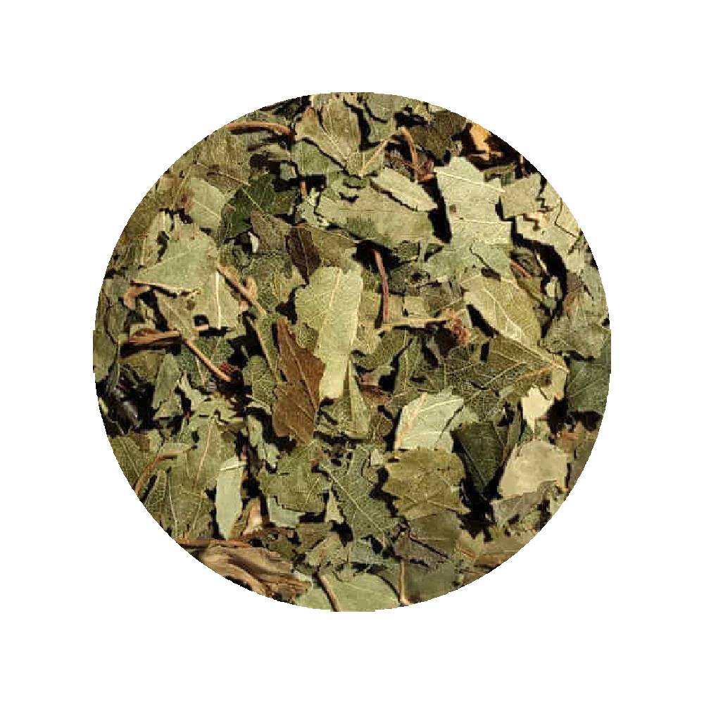 Feuilles De Bouleau Coupées en vrac - les 2kgs 1 Feuilles De Bouleau Coupées en vrac - Grossiste Herboristerie Plantes Médicinales