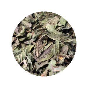 Feuilles de Menthe Pouliot en vrac - Grossiste Herboristerie Plantes Médicinales