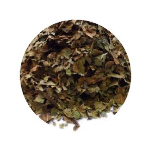 Feuilles de noyer en vrac - Grossiste Herboristerie Plantes Médicinales