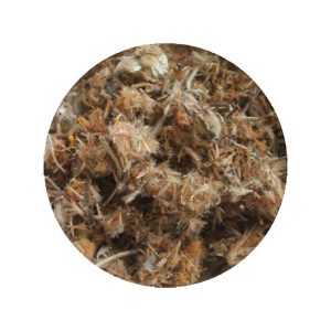 Fleurs D'arnica en vrac - Grossiste Herboristerie Plantes Feuilles