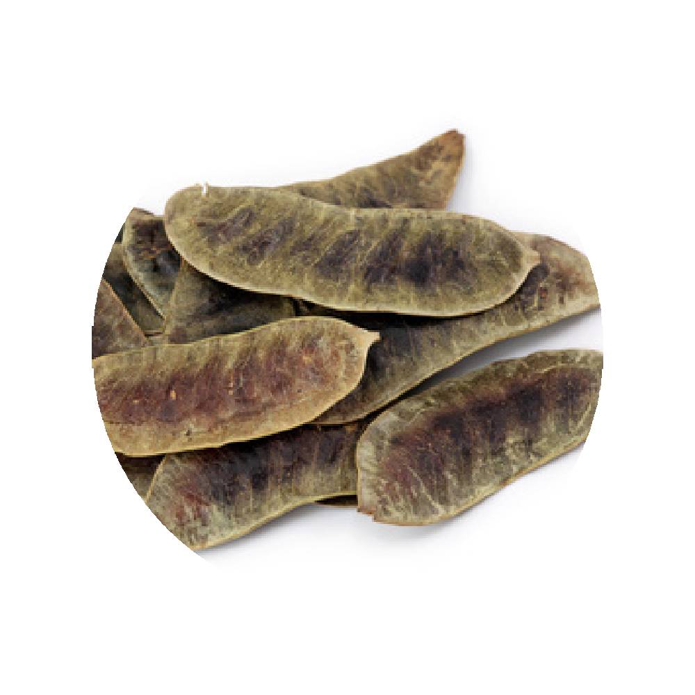 Gousses de Séné en vrac - les 2kgs 1 Gousses de Séné en vrac - Grossiste Herboristerie Plantes Médicinales
