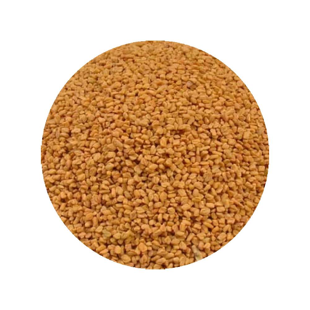 Graines De Fenugrec en vrac - les 2kgs 1 Graines De Fenugrec en vrac - Grossiste Herboristerie Plantes Médicinales
