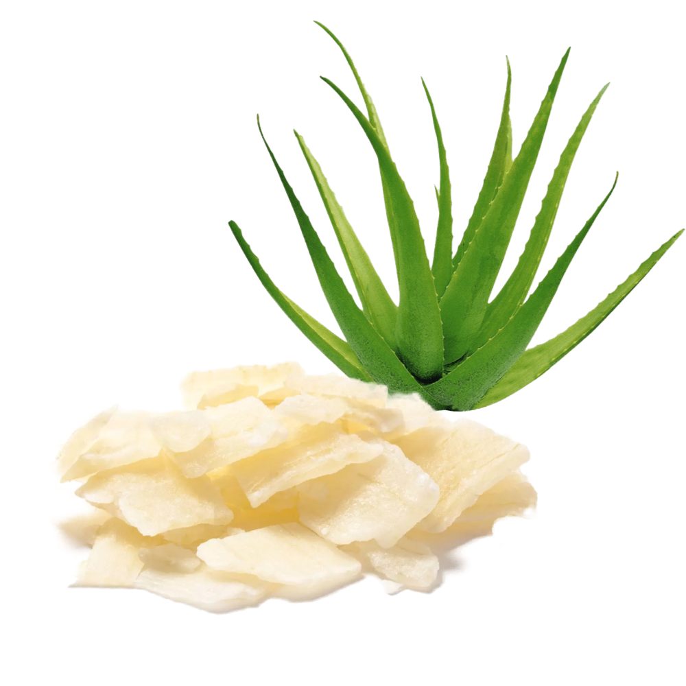 Aloe Vera Déshydraté sucré en vrac - les 2kgs 1 grossiste aloe vera confit
