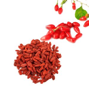 grossiste baies de goji