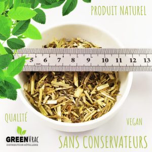 grossiste citronnelle