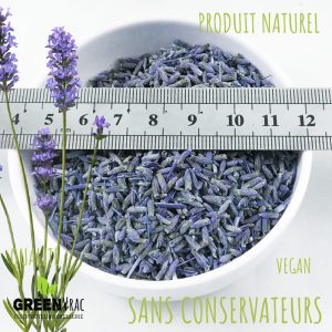 grossiste fleurs lavande