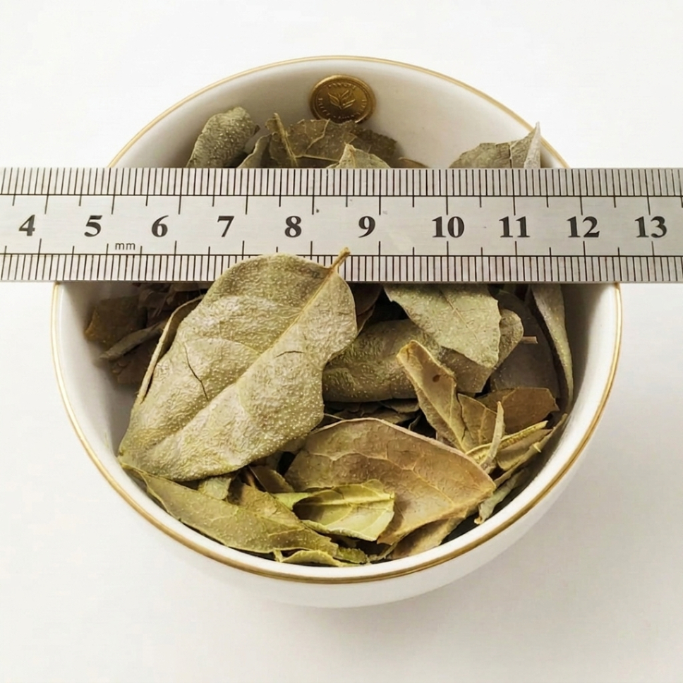 Feuilles de Boldo en vrac - les 2kgs 1 grossiste fournisseur feuilles de boldo en vrac