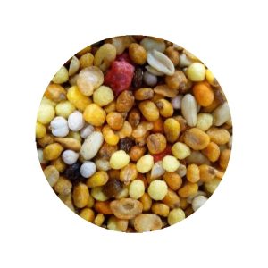Grossiste fournisseur vrac fruits secs à coque bio