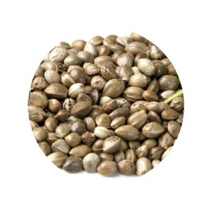 Grossiste graines chanvre Bio en vrac