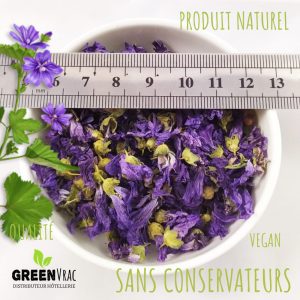 grossiste mauve fleurs
