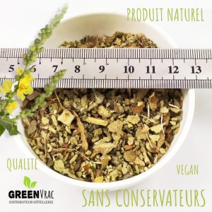 grossiste molene bouillon blanc