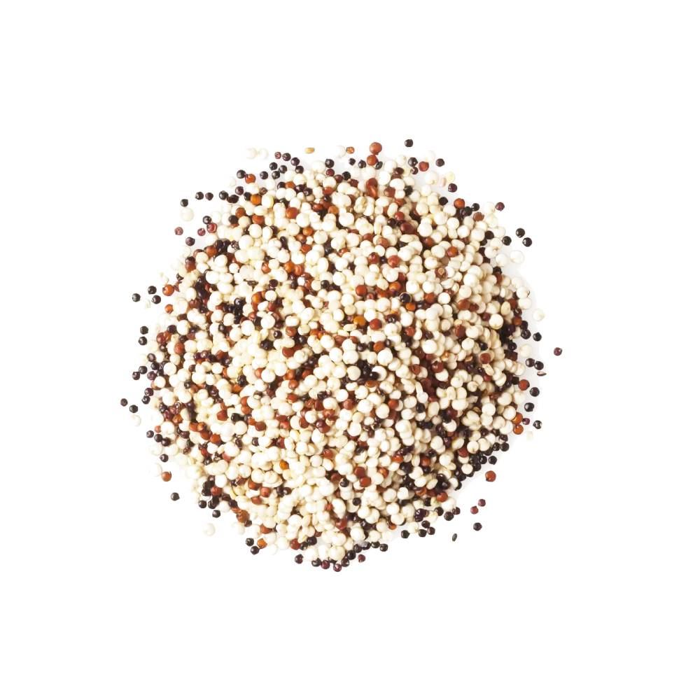 Quinoa Royal Tricolore Bolivie en vrac - les 10kgs 1 Grossiste quinoa royal tricolore en vrac