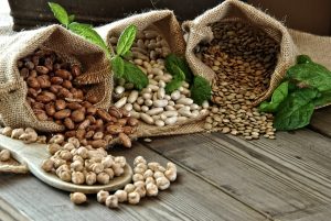 Fève entière espagnole en vrac - les 25kgs 2 Fève entière espagnole en vrac - les 25kgs