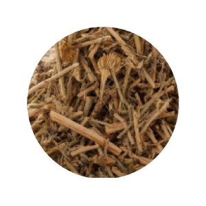 Santoline Petit-Cyprès en vrac - Grossiste Herboristerie Plantes Médicinales