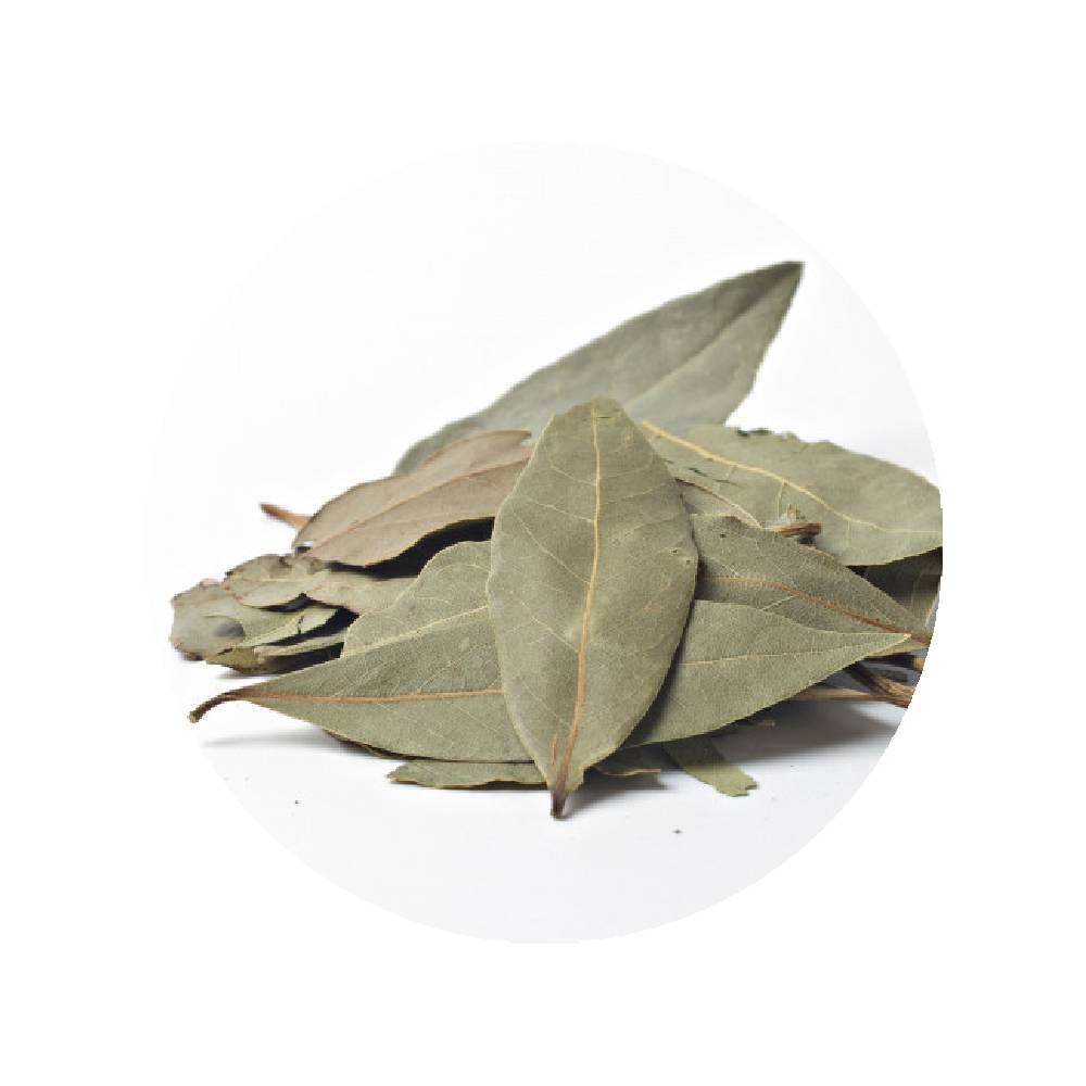 Feuilles de Laurier Sauce en vrac - les 2kgs 1 Feuilles de Laurier Sauce en vrac