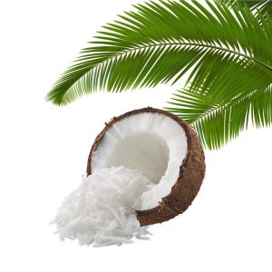 grossiste coco rapee