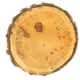 Mobilier d'agencement en bois massif