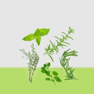 Herbes Aromatiques