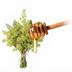 Green Vrac 8 grossiste-francais-miel-pur-fleurs d'avocatier fournisseur-miel-en-vrac